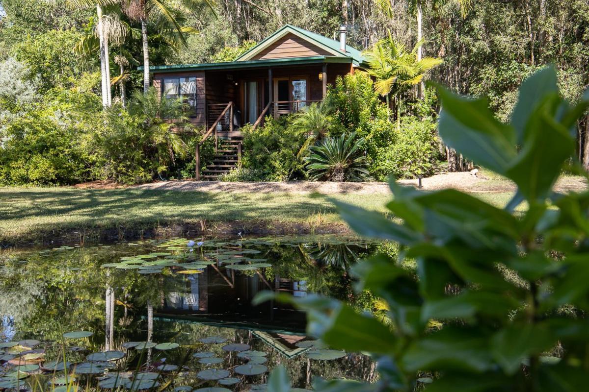 Lake Weyba Cottages Noosa Peregian Beach Esterno foto