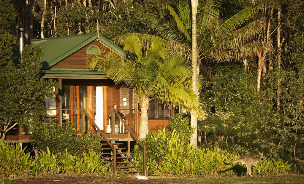 Lake Weyba Cottages Noosa Peregian Beach Esterno foto