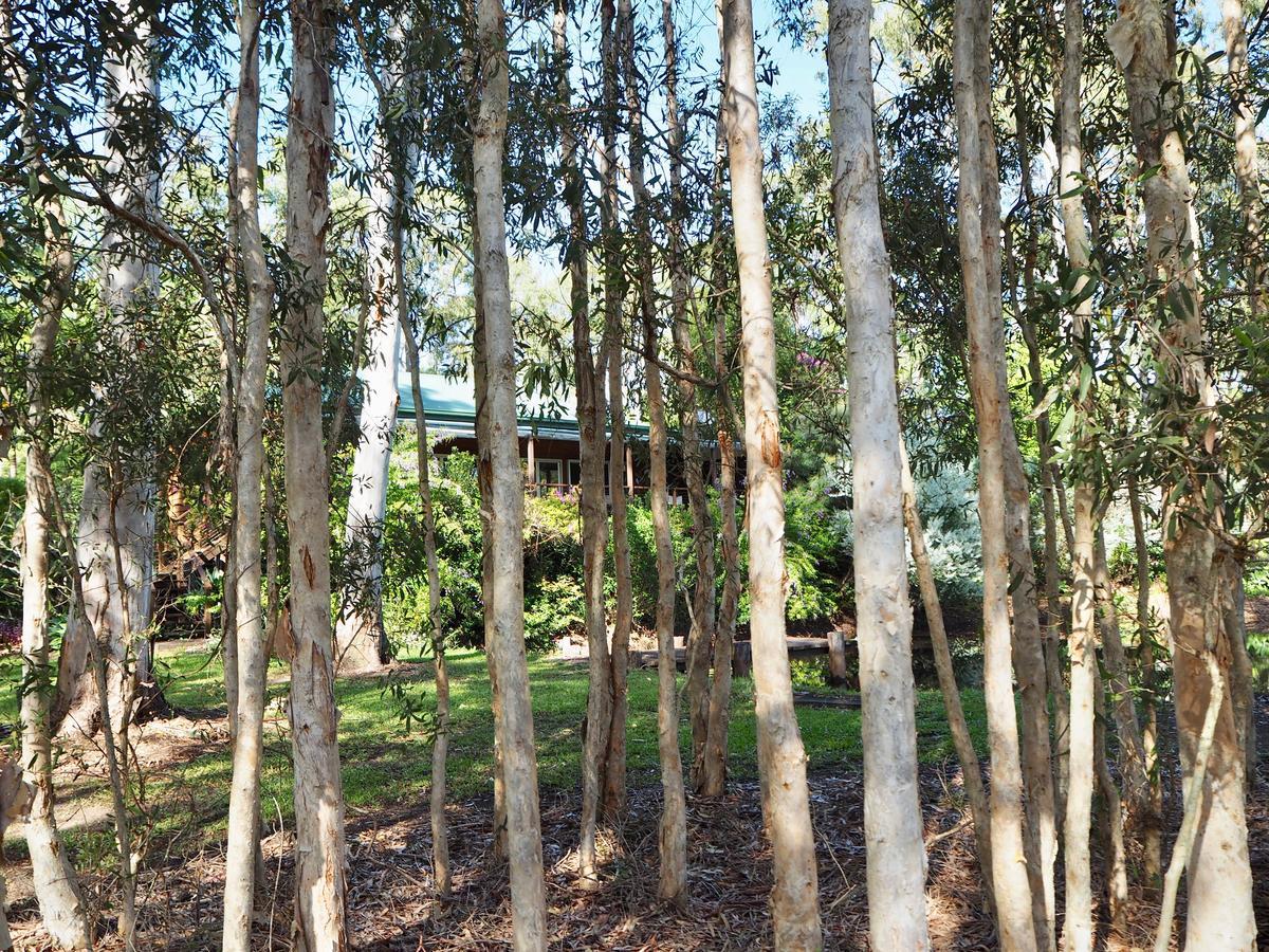 Lake Weyba Cottages Noosa Peregian Beach Esterno foto